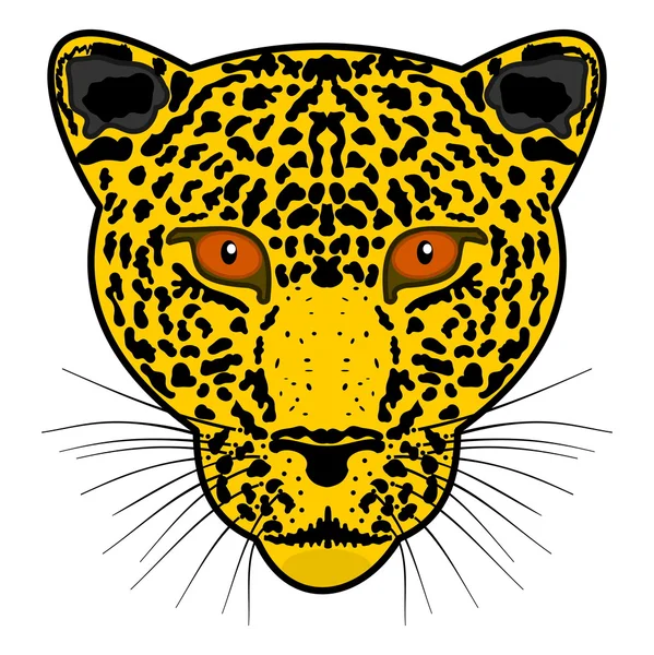 Hoofd leopard — Stockvector