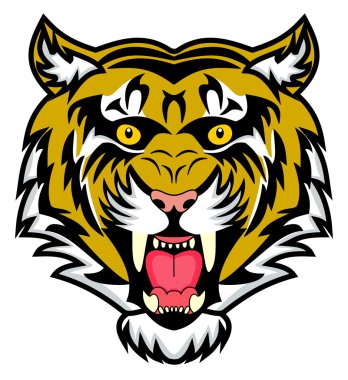 very enraged bengal tiger