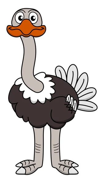 An ostrich looking ahead — Stock Vector