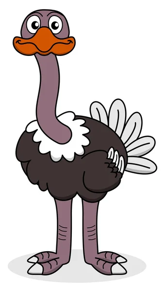 An ostrich looking ahead — Stock Vector