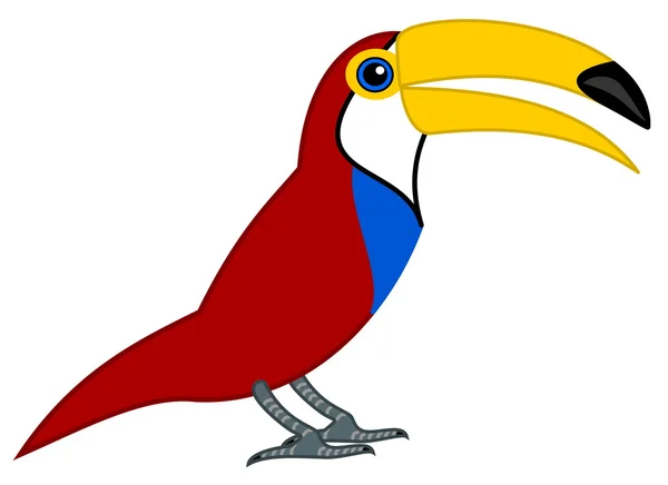 A parrot toucan's profile — Stock Vector