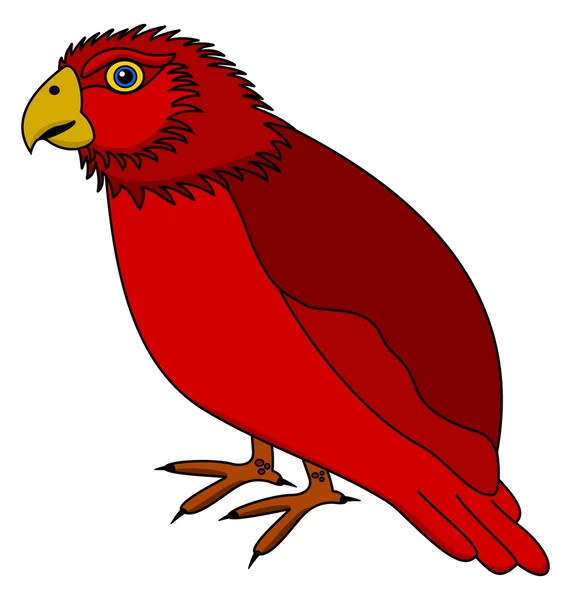 O perfil de um periquito vermelho — Vetor de Stock