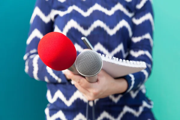 Női riporter sajtókonferencián, jegyzeteket, gazdaság mikrofon — Stock Fotó