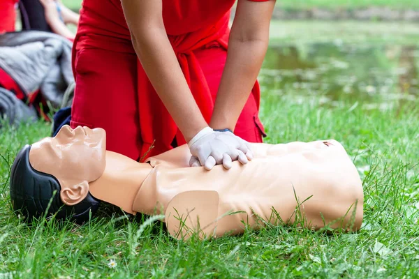 First aid and CPR class in the nature