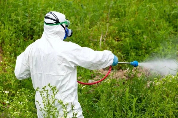 Trabalhador Controlo Pragas Que Pulveriza Insecticidas Pesticidas Livre — Fotografia de Stock