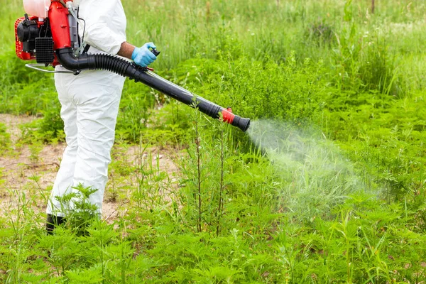 Trabalhador Controlo Pragas Que Pulveriza Insecticidas Pesticidas Livre — Fotografia de Stock