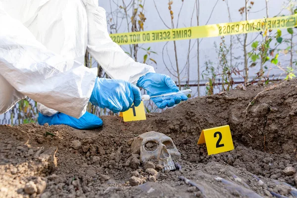 Forensic science specialist working on human remains identification. Taking DNA evidence with a swab for crime investigation.