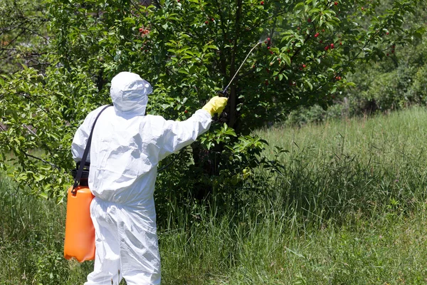 Spraya en fruktträdgård — Stockfoto