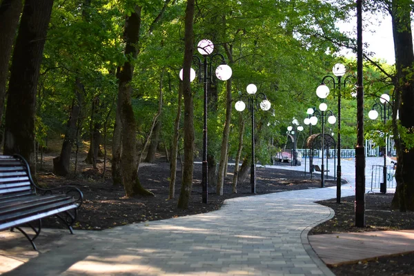 Verano verde parque de la ciudad con árboles y lámparas, lugar acogedor para relajarse y caminar —  Fotos de Stock