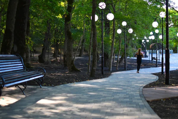 Verão verde parque da cidade com árvores e lâmpadas, lugar acolhedor para relaxar e caminhar — Fotografia de Stock