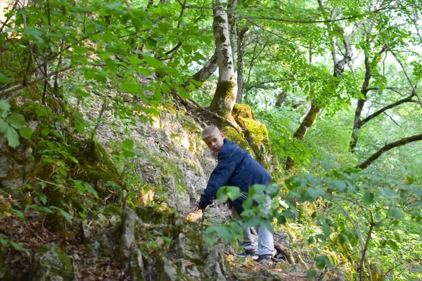 Persoon wandelt in een groen bos in de natuur in de zomer. wandelen in de frisse lucht voor de gezondheid. — Stockfoto