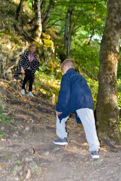 Persoon wandelt in een groen bos in de natuur in de zomer. wandelen in de frisse lucht voor de gezondheid. — Stockfoto