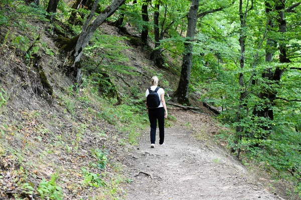 Im Sommer geht man in einem grünen Wald in der Natur spazieren. Wandern an der frischen Luft für die Gesundheit. — Stockfoto