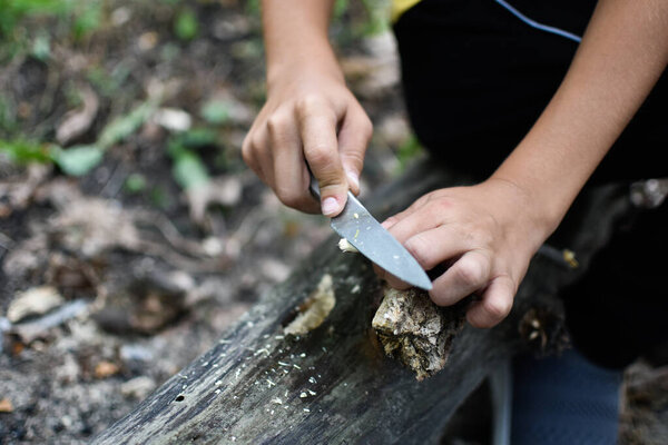 survival skills in the wild for kids. Lessons from tourism and survival in nature.