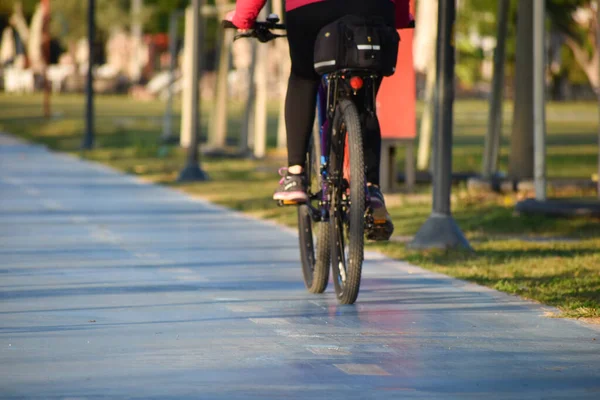 Bisikletçi şehirde doğaya biner. Sağlık için bisiklet.
