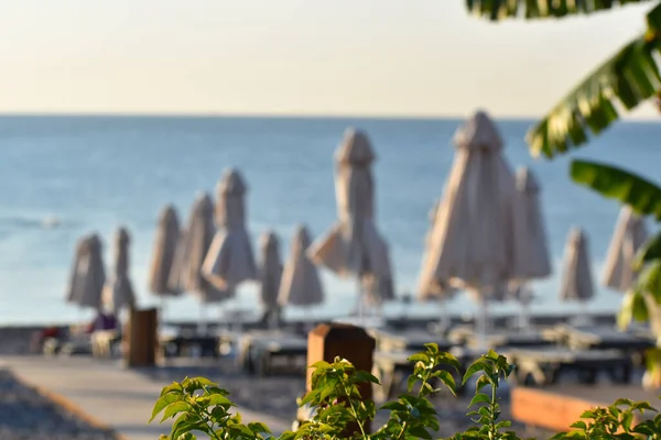 Deniz sahili manzarası. Deniz üzerindeki plaj şemsiyeleri. Denizde huzurlu bir tatil. — Stok fotoğraf