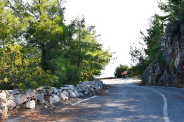 Yürümek ve dinlenmek için park et. Şehrin resimli doğası..