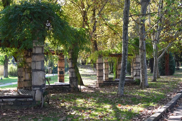 Park for walking and recreation. picturesque nature in the city. — Stock Photo, Image