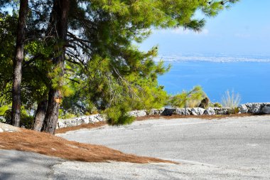 Yürümek ve dinlenmek için park et. Şehrin resimli doğası..