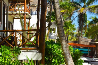 Tropik yaz doğa manzarası. Palmiye altında dinlenmek için yer