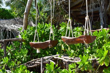 Tropik yaz doğa manzarası. Palmiye altında dinlenmek için yer