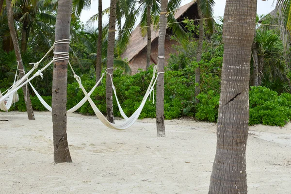 Szmatławiec wiszący hamak na palmie. miejsce relaksu w tropikach. egzotyczny letni krajobraz. — Zdjęcie stockowe