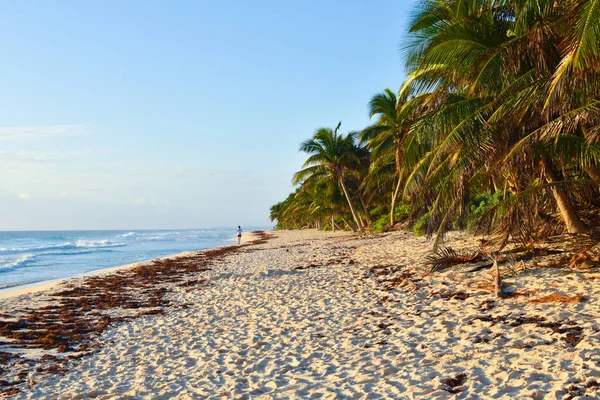 Hamacas en la playa. un lugar de relajación en los trópicos. — Foto de Stock