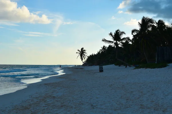 Puesta de sol en la naturaleza junto al mar. un lugar de relajación en los trópicos. — Foto de Stock