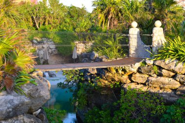 Şehir parkında ağaçlar var. Peyzaj düzenleme ve geliştirme