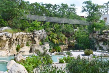 Şehir parkında ağaçlar var. Peyzaj düzenleme ve geliştirme