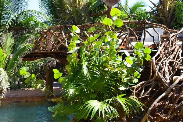Tropisch zee landschap. Toeristische vakantiebestemming met palmbomen en zee. — Stockfoto