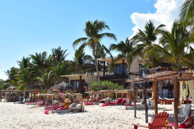 Tropikal bir sahilde dinlenme yeri. Egzotik bir tatil köyünde güneşleniyorlar..