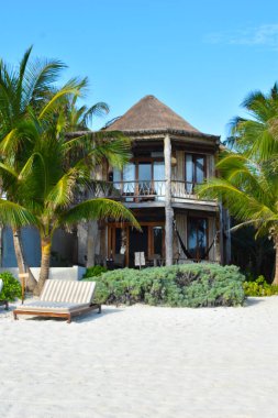 Tropikal bir sahilde dinlenme yeri. Egzotik bir tatil köyünde güneşleniyorlar..