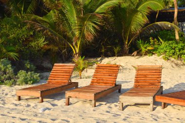 Tropikal bir sahilde dinlenme yeri. Egzotik bir tatil köyünde güneşleniyorlar..