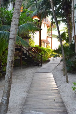 Tropikal bir sahilde dinlenme yeri. resim gibi egzotik manzara.