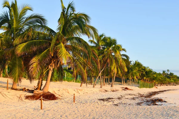 Місце відпочинку на тропічному пляжі. мальовничий екзотичний пейзаж . — стокове фото