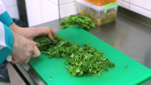 Шеф-повар нарезанный зеленый салат на кухне ресторана — стоковое видео