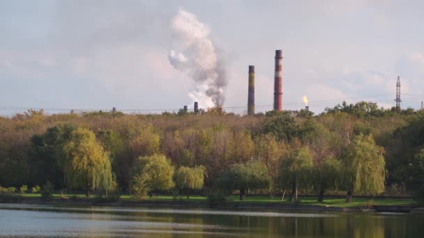 Dym Rur Fabrycznych Pobliżu Lasu Rzeki Globalny Problem Środowiskowy Zanieczyszczenia — Wideo stockowe
