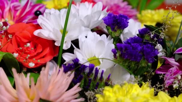 Rotierende Schöne Helle Bouquet Von Bunten Chrysanthemen Und Rosenblüten Bestes — Stockvideo