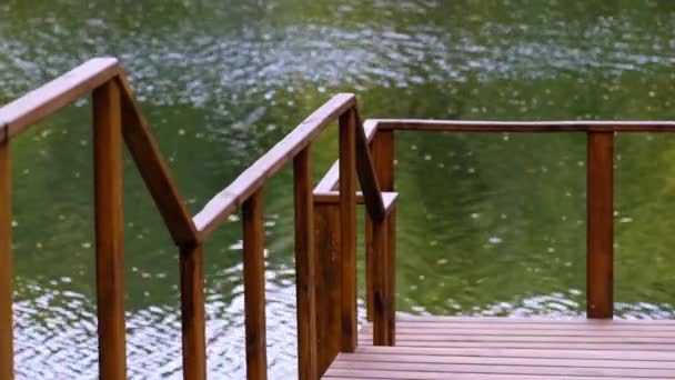 Part Wooden Railings Empty Bridge Flowing River Background Tranquility Beautiful — Stock Video