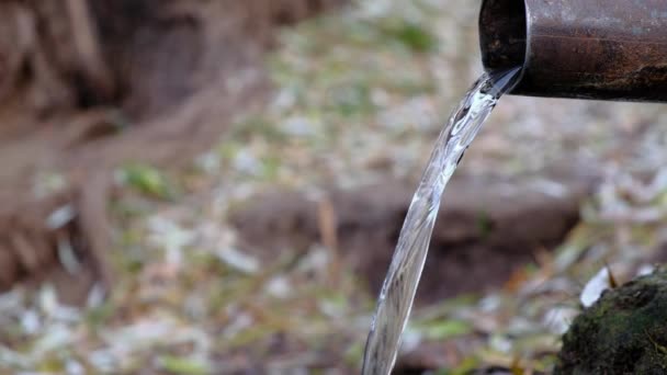 Αρσενικό Πεζοπόρος Συλλέγει Νερό Πηγής Από Ένα Σωλήνα Ένα Μπλε — Αρχείο Βίντεο