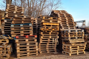 Birçok Eski Kullanılmış Ahşap Paletler kargo taşıma şirketinin ambarına yığılmış durumda..