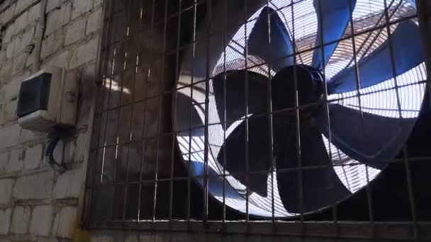 Grande Ventilatore Industriale Muro Mattoni Bianchi Impianto Ventilazione Dell Edificio — Video Stock