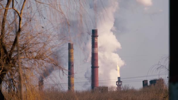 Grote witte wasem wolk van fabriekspijpen op een blauwe lucht achtergrond — Stockvideo