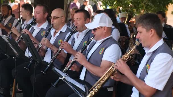 Erkek Müzisyenler Açık Hava Festivalinde Belediye Orkestrasında Rüzgar Enstrümanları Çalıyorlar — Stok video