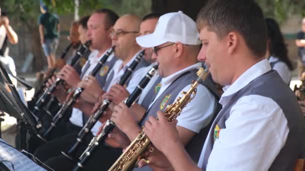 Músicos Masculinos Sentados Tocan Instrumentos Viento Orquesta Municipal Actuando Concierto — Vídeos de Stock