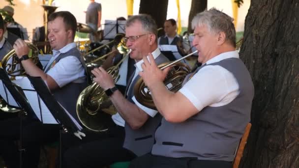 Músicos Sexo Masculino Sentados Tocam Instrumentos Sopro Orquestra Municipal Tocando — Vídeo de Stock