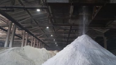 Amonyum sülfat tozu bir kimyasal fabrika deposunun içindeki bir yığın içine dökülüyor. Tarım endüstrisi için mineral organik gübreler.