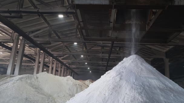 硫酸アンモニウム粉末は 化学工場の倉庫内の山に注ぎます 農業用鉱物有機肥料 — ストック動画
