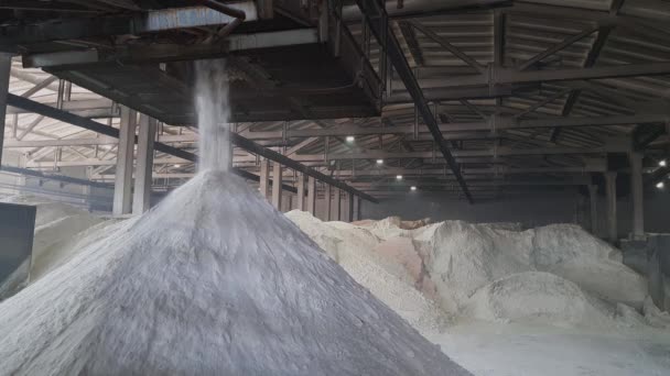硫酸アンモニウム粉末は 化学工場の倉庫内の山に注ぎます 農業用鉱物有機肥料 — ストック動画